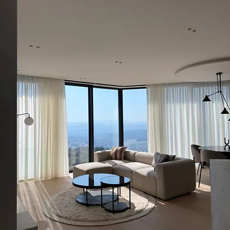 The View